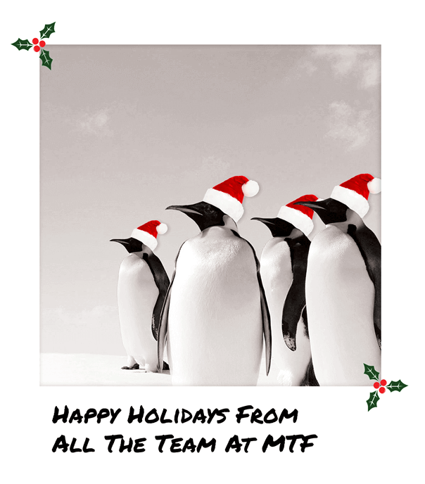 blog-polaroid-christmas