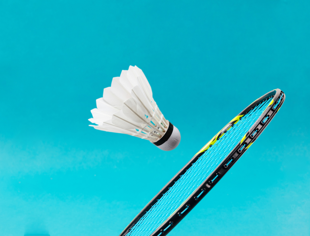 Badminton Badminton