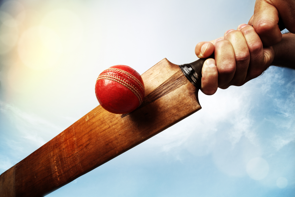 Cricket Cricket