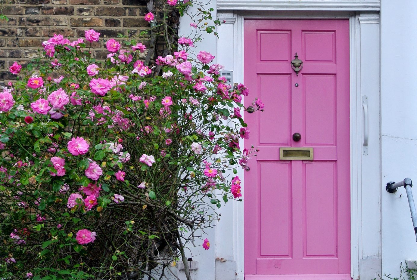 pink door